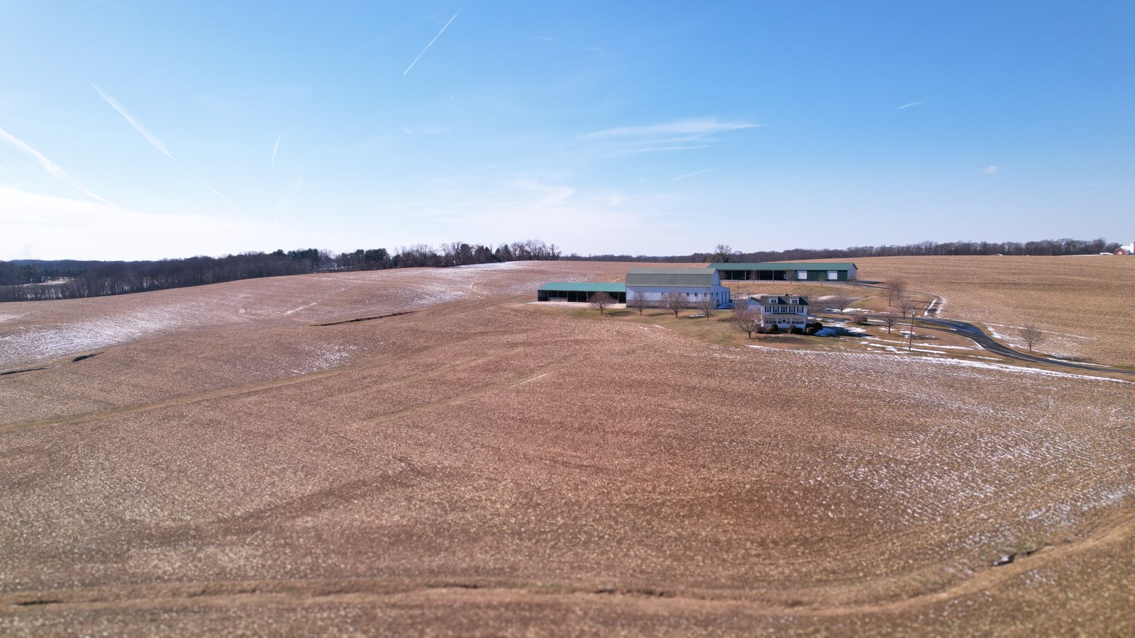 Turning Pain into Purpose